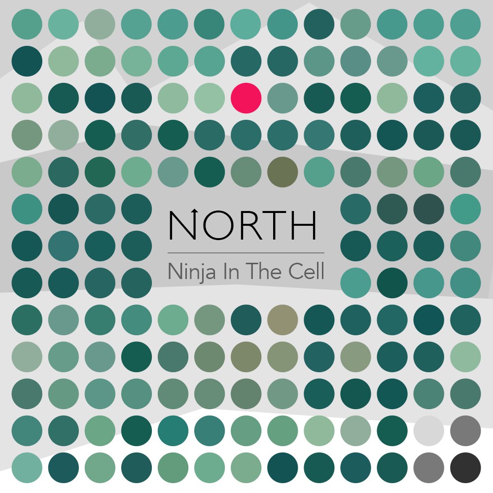 North – Ninja In The Cell (Single 2015) | Overdrive.com.ua